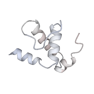 23900_7mkn_E_v1-2
Escherichia coli RNA polymerase and RapA elongation complex