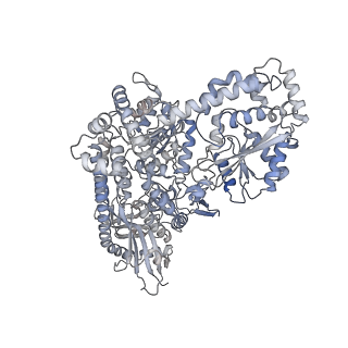 23900_7mkn_L_v1-2
Escherichia coli RNA polymerase and RapA elongation complex