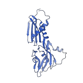 23901_7mko_B_v1-2
Escherichia coli RNA polymerase elongation complex