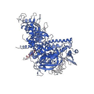 23901_7mko_D_v1-2
Escherichia coli RNA polymerase elongation complex