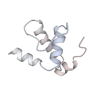 23901_7mko_E_v1-2
Escherichia coli RNA polymerase elongation complex