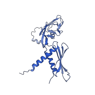 23902_7mkp_A_v1-2
Escherichia coli RNA polymerase core enzyme