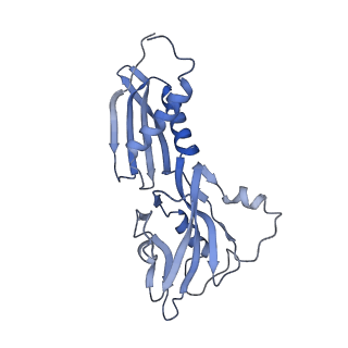 23902_7mkp_B_v1-2
Escherichia coli RNA polymerase core enzyme
