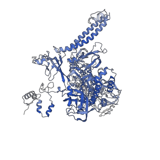 23902_7mkp_C_v1-2
Escherichia coli RNA polymerase core enzyme