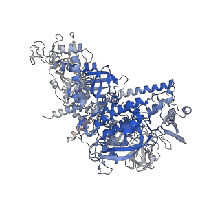 23902_7mkp_D_v1-2
Escherichia coli RNA polymerase core enzyme