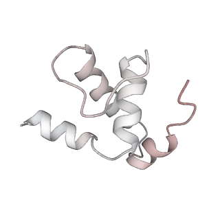 23902_7mkp_E_v1-2
Escherichia coli RNA polymerase core enzyme