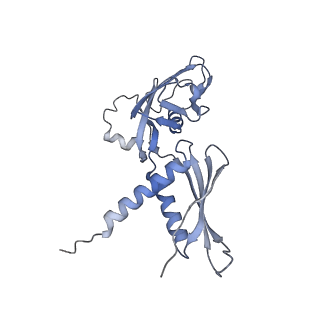 23903_7mkq_A_v1-2
Escherichia coli RNA polymerase and RapA binary complex