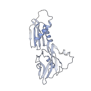 23903_7mkq_B_v1-2
Escherichia coli RNA polymerase and RapA binary complex