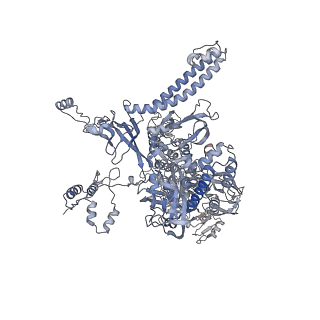 23903_7mkq_C_v1-2
Escherichia coli RNA polymerase and RapA binary complex