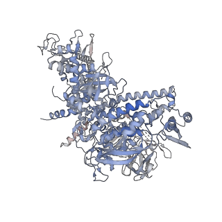 23903_7mkq_D_v1-2
Escherichia coli RNA polymerase and RapA binary complex