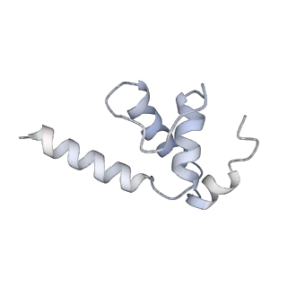 23903_7mkq_E_v1-2
Escherichia coli RNA polymerase and RapA binary complex