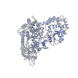 23903_7mkq_L_v1-2
Escherichia coli RNA polymerase and RapA binary complex