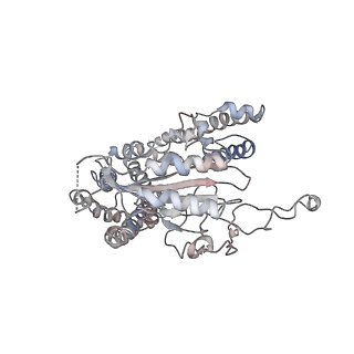3523_5mke_A_v1-3
cryoEM Structure of Polycystin-2 in complex with cations and lipids