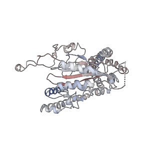 3523_5mke_C_v1-3
cryoEM Structure of Polycystin-2 in complex with cations and lipids