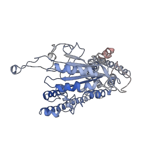 3524_5mkf_C_v1-3
cryoEM Structure of Polycystin-2 in complex with calcium and lipids