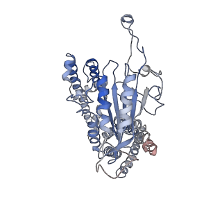 3524_5mkf_D_v1-3
cryoEM Structure of Polycystin-2 in complex with calcium and lipids