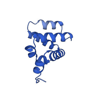 9137_6mks_A_v1-4
Cryo-EM structure of NLRC4-CARD filament