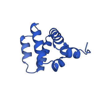 9137_6mks_C_v1-4
Cryo-EM structure of NLRC4-CARD filament