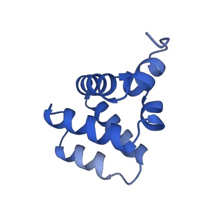 9137_6mks_D_v1-4
Cryo-EM structure of NLRC4-CARD filament