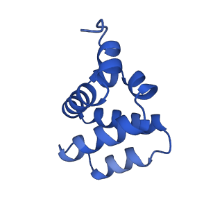 9137_6mks_E_v1-4
Cryo-EM structure of NLRC4-CARD filament