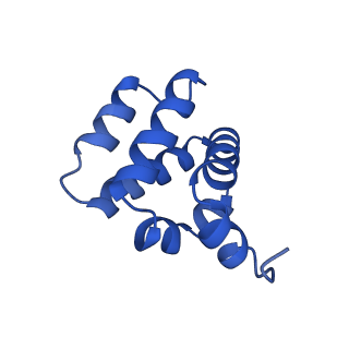 9137_6mks_F_v1-4
Cryo-EM structure of NLRC4-CARD filament