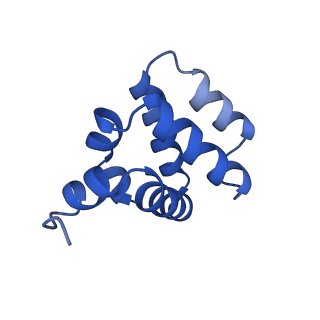 9137_6mks_H_v1-4
Cryo-EM structure of NLRC4-CARD filament