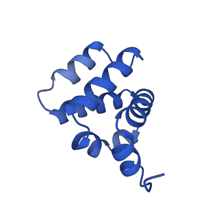 9137_6mks_I_v1-4
Cryo-EM structure of NLRC4-CARD filament