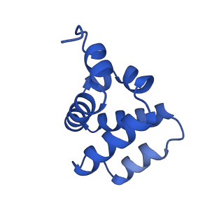 9137_6mks_J_v1-4
Cryo-EM structure of NLRC4-CARD filament