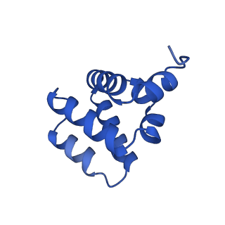 9137_6mks_K_v1-4
Cryo-EM structure of NLRC4-CARD filament