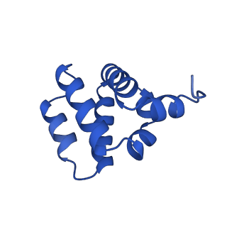 9137_6mks_L_v1-4
Cryo-EM structure of NLRC4-CARD filament