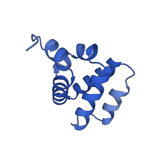 9137_6mks_M_v1-4
Cryo-EM structure of NLRC4-CARD filament