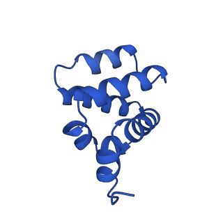 9137_6mks_N_v1-4
Cryo-EM structure of NLRC4-CARD filament