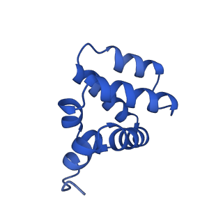 9137_6mks_O_v1-4
Cryo-EM structure of NLRC4-CARD filament