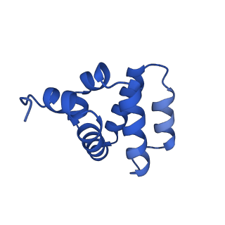 9137_6mks_P_v1-4
Cryo-EM structure of NLRC4-CARD filament