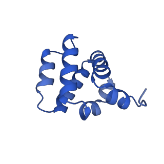 9137_6mks_Q_v1-4
Cryo-EM structure of NLRC4-CARD filament