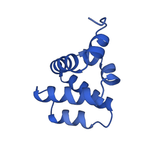 9137_6mks_R_v1-4
Cryo-EM structure of NLRC4-CARD filament