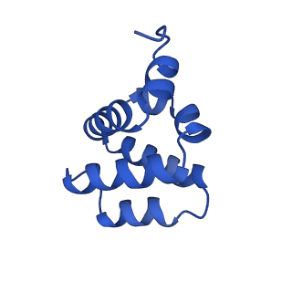 9137_6mks_S_v1-4
Cryo-EM structure of NLRC4-CARD filament