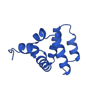 9137_6mks_U_v1-4
Cryo-EM structure of NLRC4-CARD filament