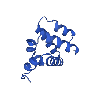 9137_6mks_V_v1-4
Cryo-EM structure of NLRC4-CARD filament