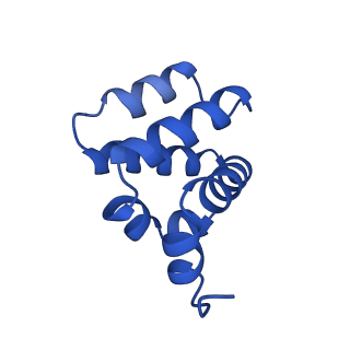 9137_6mks_W_v1-4
Cryo-EM structure of NLRC4-CARD filament