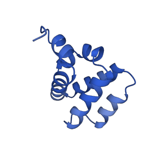 9137_6mks_X_v1-4
Cryo-EM structure of NLRC4-CARD filament