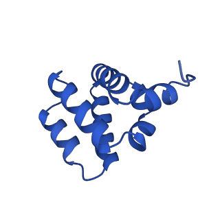 9137_6mks_Y_v1-4
Cryo-EM structure of NLRC4-CARD filament