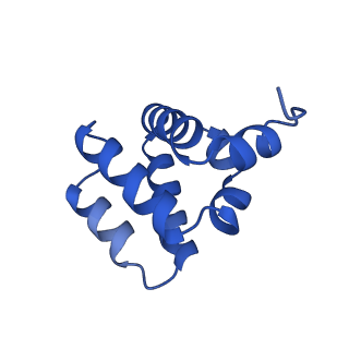 9137_6mks_Z_v1-4
Cryo-EM structure of NLRC4-CARD filament