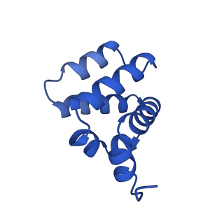 9137_6mks_b_v1-4
Cryo-EM structure of NLRC4-CARD filament