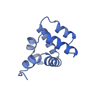 9137_6mks_c_v1-4
Cryo-EM structure of NLRC4-CARD filament