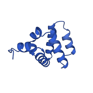 9137_6mks_d_v1-4
Cryo-EM structure of NLRC4-CARD filament