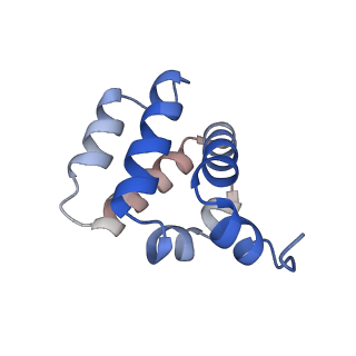 9137_6mks_e_v1-4
Cryo-EM structure of NLRC4-CARD filament