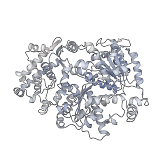 23904_7ml0_0_v1-1
RNA polymerase II pre-initiation complex (PIC1)