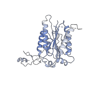 23904_7ml0_4_v1-1
RNA polymerase II pre-initiation complex (PIC1)
