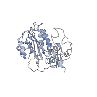 23904_7ml0_6_v1-1
RNA polymerase II pre-initiation complex (PIC1)